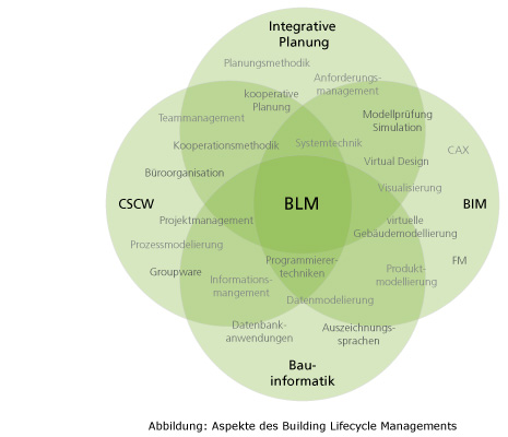 BLM Diagram